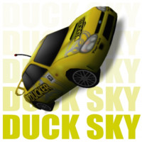 Duck Sky