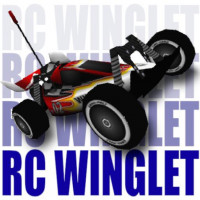 RC Winglet