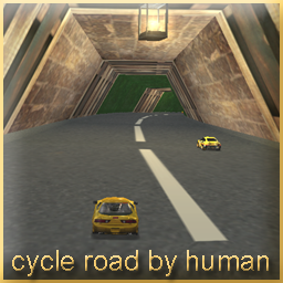 Cycle Road