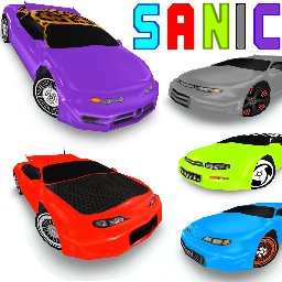 SANIC PACK