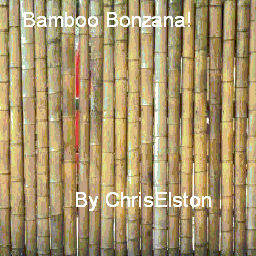 Bamboo Bonzana