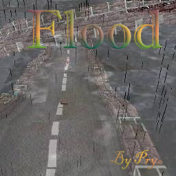 The flood