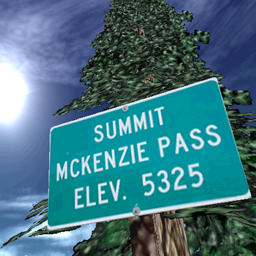 McKenzie Pass